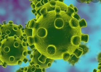 BREAKING: Coronavirus finally detected in Nigeria