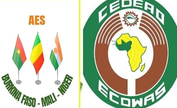 ECOWAS Council, Commission President Dragged to Community Court Over AES Staff Matter